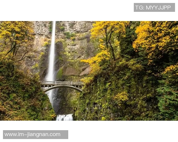 林葳波特兰游记分享看球之余打卡马尔特诺玛瀑布美景